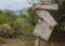 Abandoned Sign by an old mesquite tree