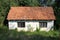 Abandoned small family house with cracked facade and broken windows completely surrounded with overgrown grass and other forest