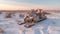 Abandoned Snowmobile On Deserted Road