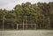 Abandoned soccer goal with trees