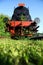 Abandoned steam locomotive