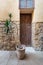Abandoned stone bricks wall with wooden door, wrought iron window and planting pot