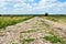 Abandoned stone paved country road, overgrown with grass. The co