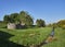 An abandoned Stone ruin with an unusual curved end wall lies in a small Field within a Valley with a small stream.