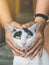 An abandoned stray black and white cat embraced and massaged by the girl\'s hands