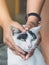 An abandoned stray black and white cat embraced and massaged by the girl\'s hands with love and compassion.