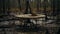 Abandoned Table In The Swamp: A Southern Gothic Environmental Portraiture