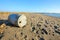 Abandoned tank on the beach