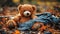 Abandoned teddy bear. adolescence concept. Generative AI