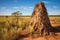 abandoned termite mound overtaken by nature