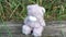 Abandoned Toys grey sad bear sitting on old style country side fence with green apple tree on background. No one around