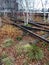 Abandoned Tracks Running Through High Line Park in New York City