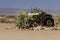 Abandoned tractor at Solitaire, Namibia