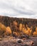 Abandoned tractors in the forest