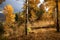 Abandoned trail in autumn mountains