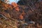 Abandoned trail in autumn mountains