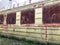 Abandoned train. Forgotten overgrown railway. Old rusty railway carriage