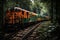 Abandoned Train: Forgotten Tracks in the Forest