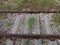 Abandoned train tracks overgrown with grass