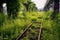 abandoned train tracks with overgrown grass