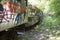 Abandoned trolley cars in woods