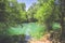 Abandoned tropical lake in jungle primeval forest Trees and snags are reflected in surface water.