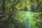 Abandoned tropical lake in jungle primeval forest Trees and snags are reflected in surface water.