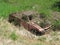 An Abandoned Truck Covered By Wild Plant Growth.