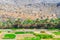 Abandoned village ruins of Riwaygh as-Safil with an oasis underneath on the road between Al Hambra and Jebel Shams, Sultanate of