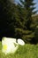 An abandoned watering can on the field. Conceptual image shot