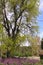 Abandoned well next to tree