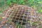 Abandoned well at Plan Bouchard Memorial Park and Ruines.