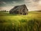 Abandoned Wooden Barn in a Grassy Field