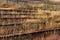 Abandoned wooden benches and bleachers overgrown with dry grass and weeds at an old stadium