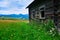 Abandoned wooden home in countryside, nature, summer landscape in carpathian mountains, wildflowers and meadow, spruces on hills