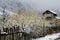 Abandoned wooden house with old broken fence in winter, Armenia