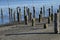 Abandoned wooden pilings on the beach in the Pacific Northwest