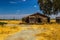 Abandoned Wooden Shed In Open Field