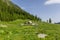 Abandoned wooden sheepfold in Carpathians near the mountain range