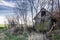 Abandoned woodshed near the forest