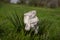 Abandoned working-glove on green grass