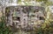 Abandoned world war army bunker covered with moss in forest.