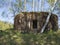 Abandoned World War Two concrete bunker Ropik in birch tree forest in lusitian mountains near Czech Republic Germany