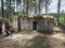 Abandoned World War Two concrete bunker Ropik in spruce tree forest in lusitian mountains near Czech Republic Germany