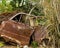 Abandoned Wrecked Brown Car in Field and Weeds