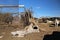 Abandoned yard with domestic animals and a lot of trash at one of illegally squatted areas in South Africa