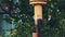 Abandoned yellow gas pipe on the background of green foliage.