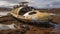 Abandoned Yellow Submarine In Futuristic Australian Landscape