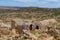 The abandonned berber village of Zriba Olya in tunisia