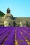 Abbaye de Senanque with lavender field